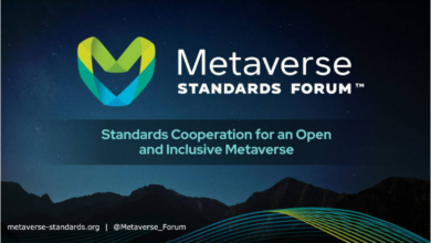 metaverse standard forum dmd cover