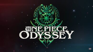 one piece odyssey cover