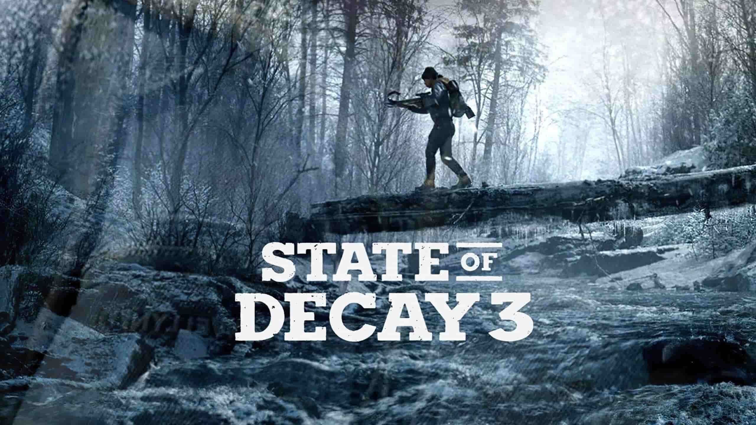 state of decay cover