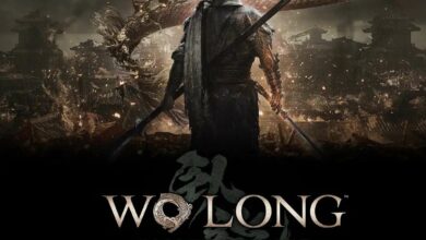 wo long fallen dynasty cover