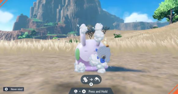 Pokémon Scarlet and Violet picnic wash pokemon