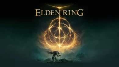 Elden Ring DLC Leak, Elden Ring Steam DB update